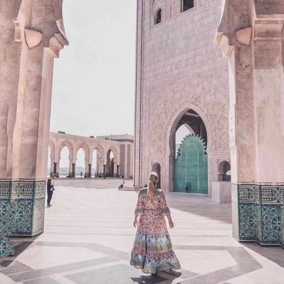 NWT Tulle and batiste havillah maxi dress- lotus - Picture 6 of 7